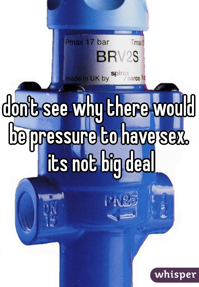 don't see why there would be pressure to have sex.  its not big deal