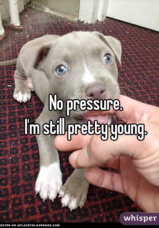 No pressure.
I'm still pretty young.
