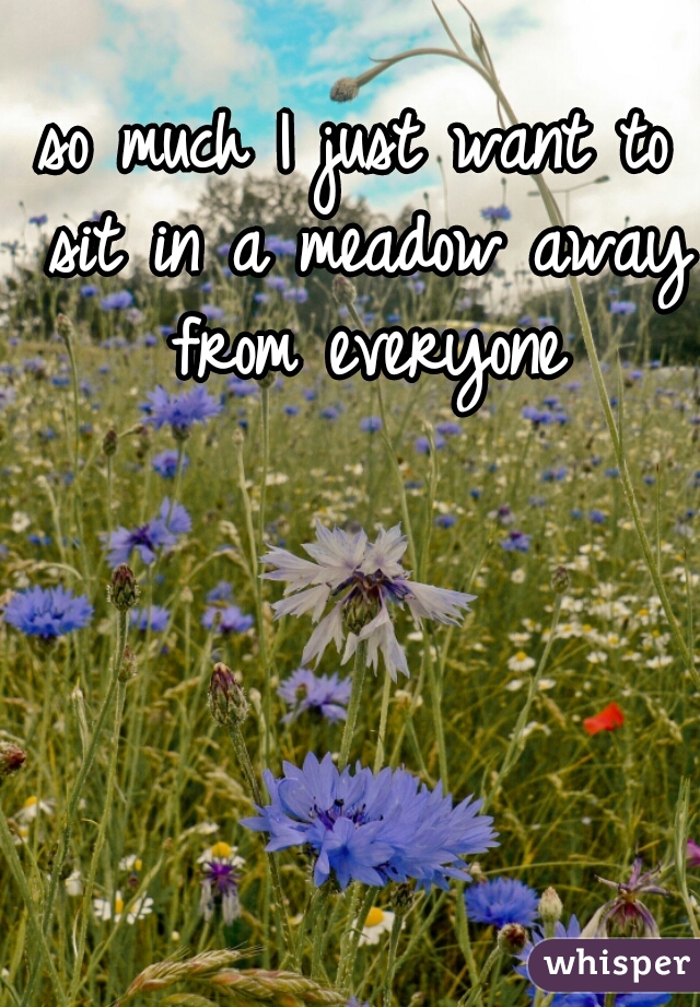 so much I just want to sit in a meadow away from everyone