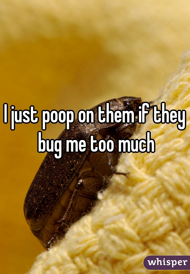 I just poop on them if they bug me too much