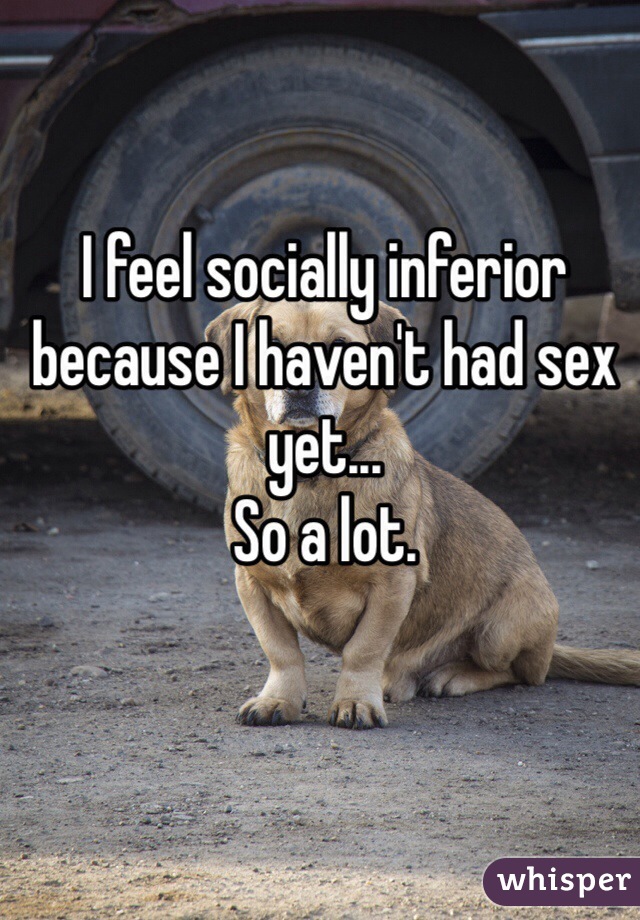 I feel socially inferior because I haven't had sex yet...
So a lot. 