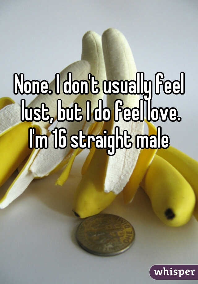 None. I don't usually feel lust, but I do feel love.
I'm 16 straight male