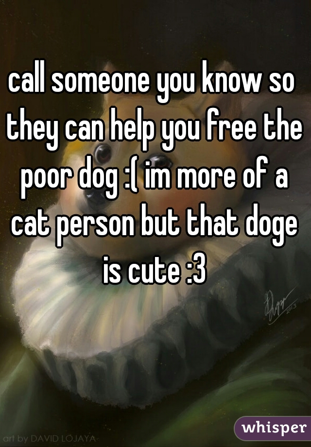 call someone you know so they can help you free the poor dog :( im more of a cat person but that doge is cute :3