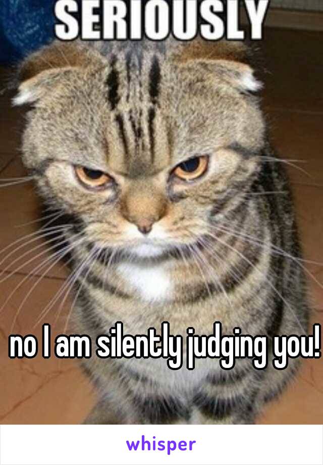 no I am silently judging you!