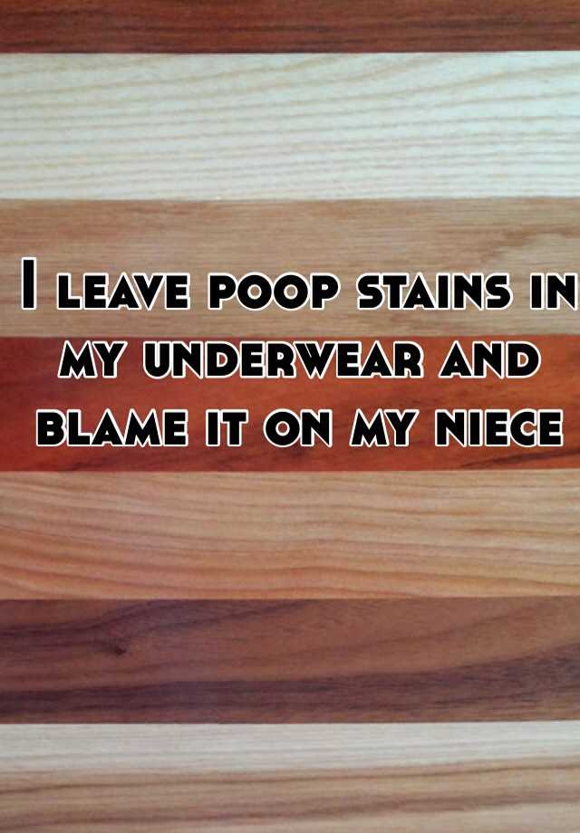 i-leave-poop-stains-in-my-underwear-and-blame-it-on-my-niece