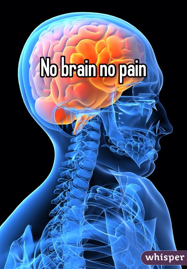 No brain no pain
