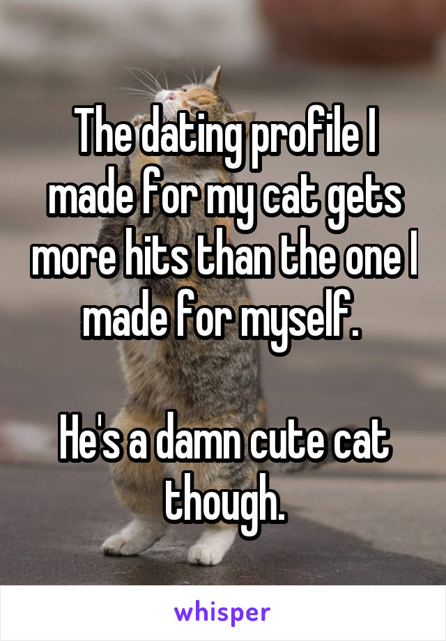 The dating profile I made for my cat gets more hits than the one I made for myself. 

He's a damn cute cat though.