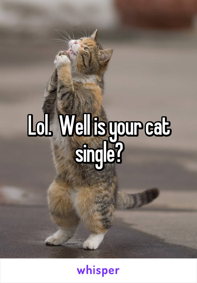 Lol.  Well is your cat single?