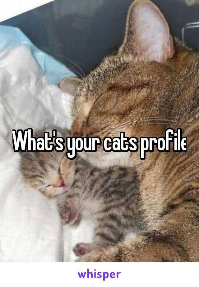 What's your cats profile