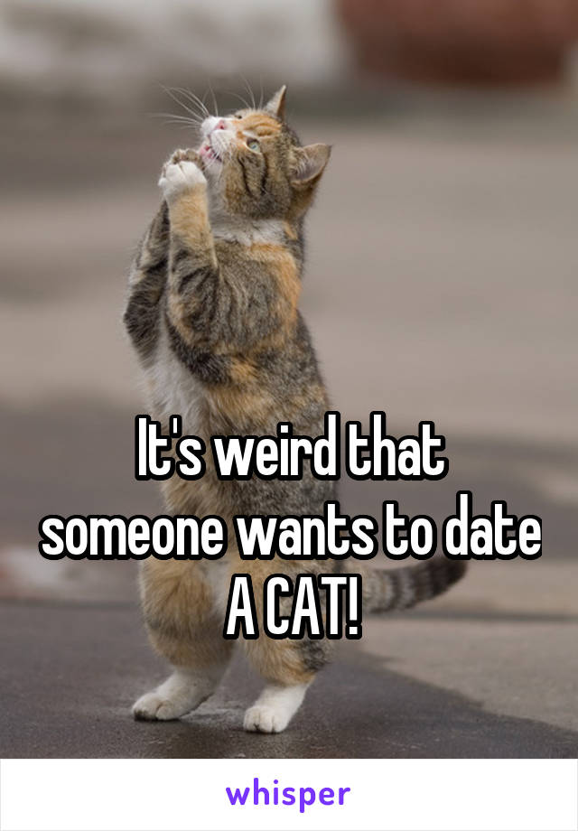 


It's weird that someone wants to date A CAT!