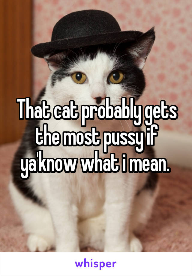 That cat probably gets the most pussy if ya'know what i mean. 