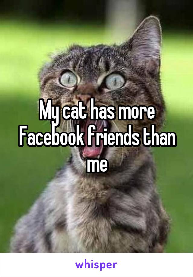 My cat has more Facebook friends than me