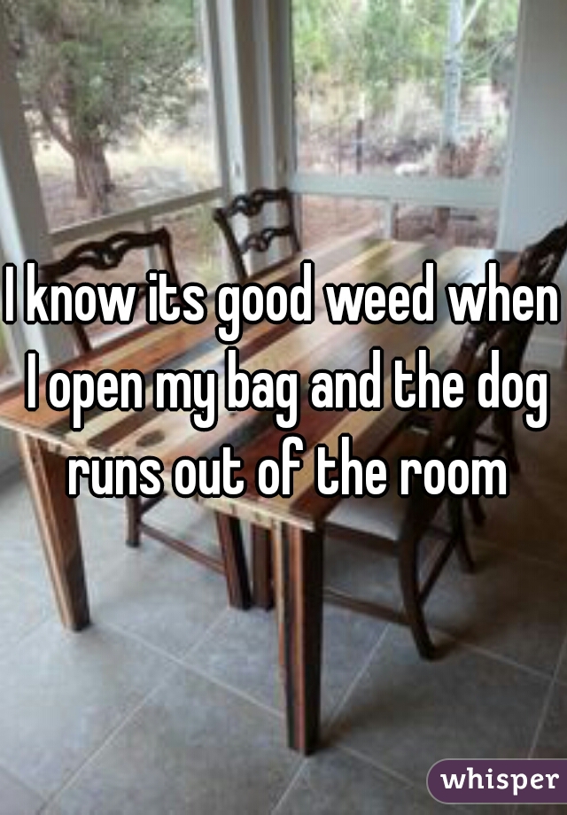 I know its good weed when I open my bag and the dog runs out of the room