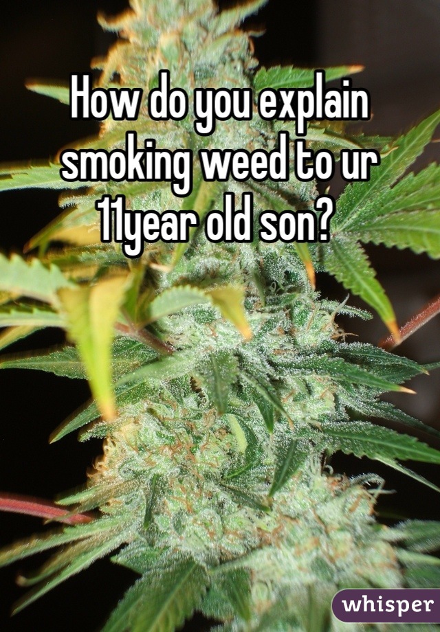 How do you explain smoking weed to ur 11year old son? 