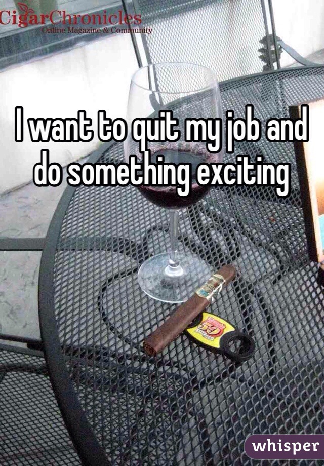 I want to quit my job and do something exciting