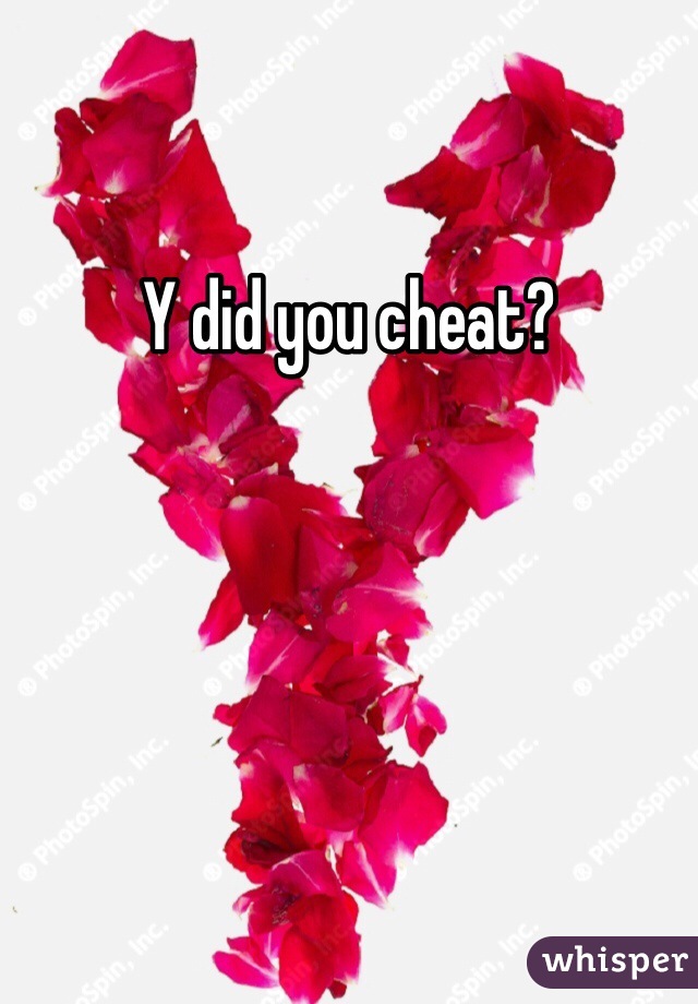 Y did you cheat?