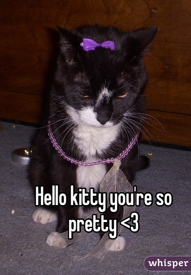 Hello kitty you're so pretty <3