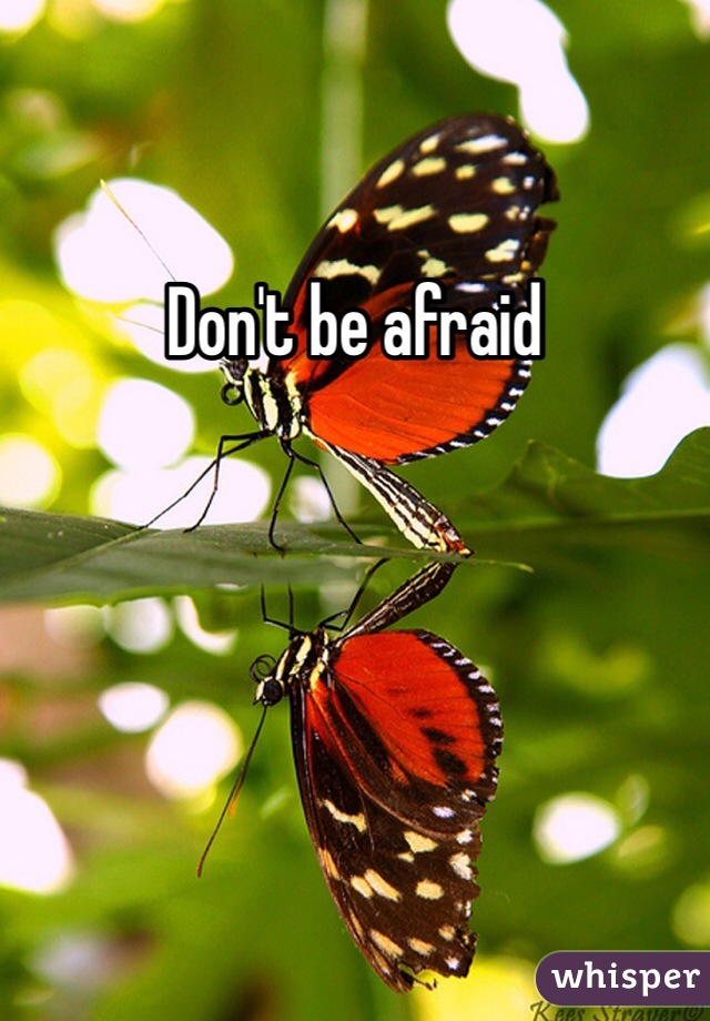 Don't be afraid 