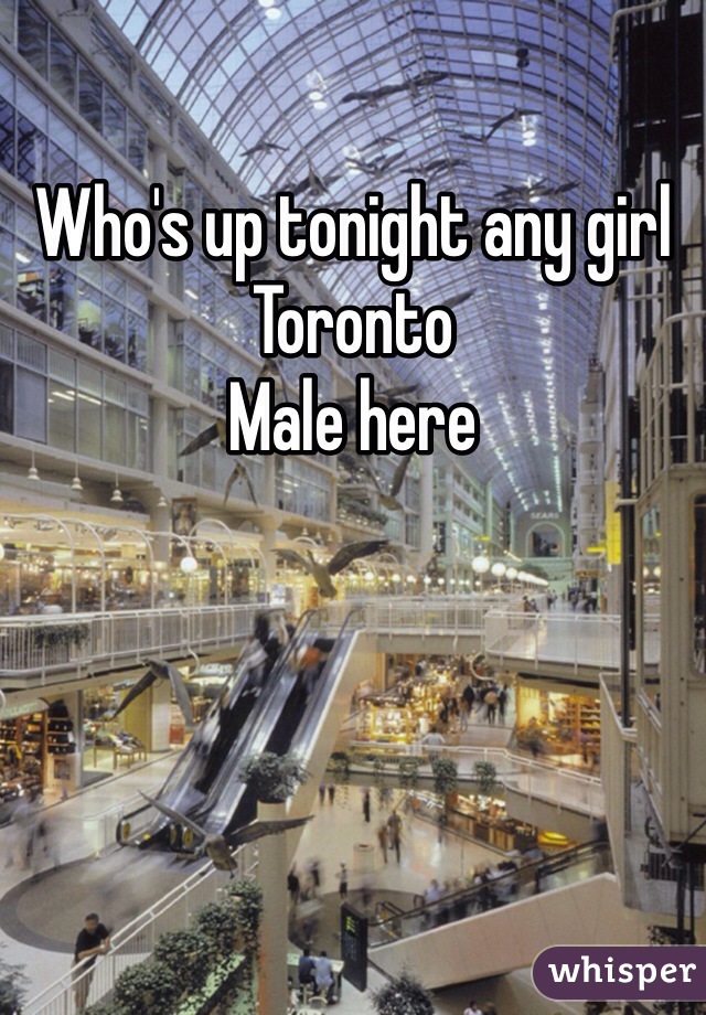 Who's up tonight any girl 
Toronto 
Male here 