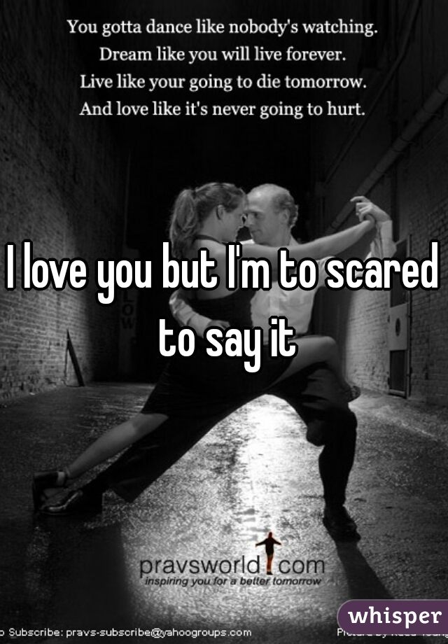 I love you but I'm to scared to say it