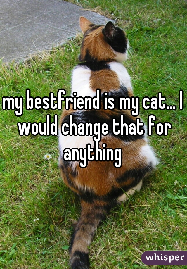 my bestfriend is my cat... I would change that for anything 