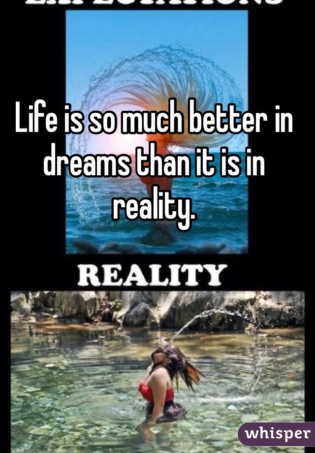 Life is so much better in dreams than it is in reality. 