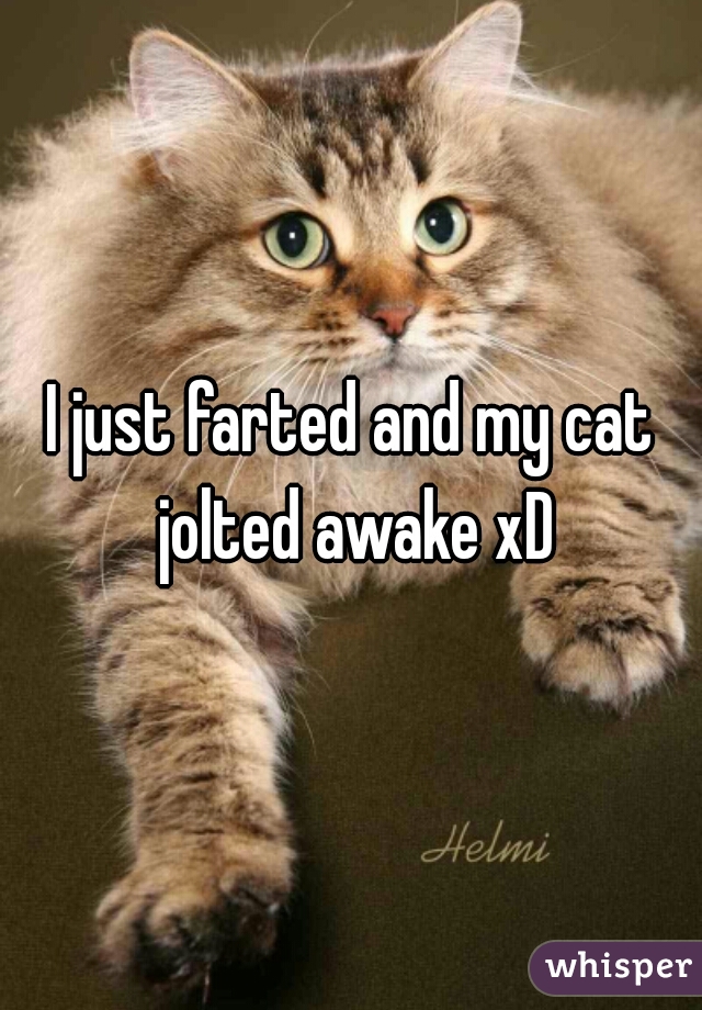 I just farted and my cat jolted awake xD