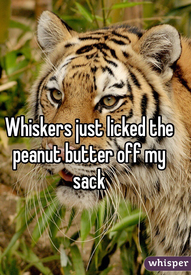 Whiskers just licked the peanut butter off my sack 