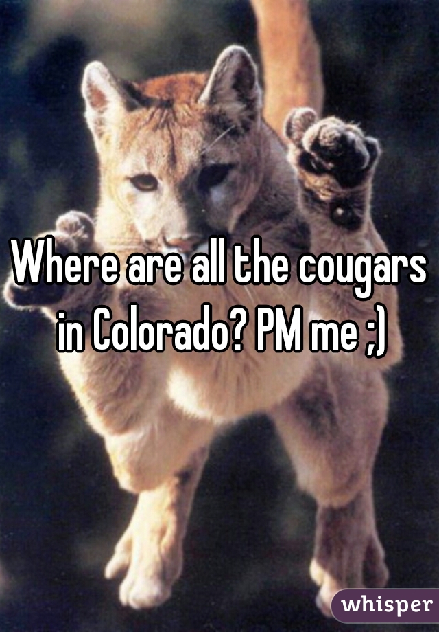 Where are all the cougars in Colorado? PM me ;)