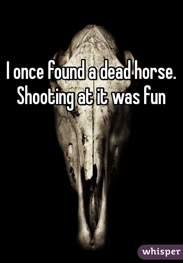 I once found a dead horse. Shooting at it was fun