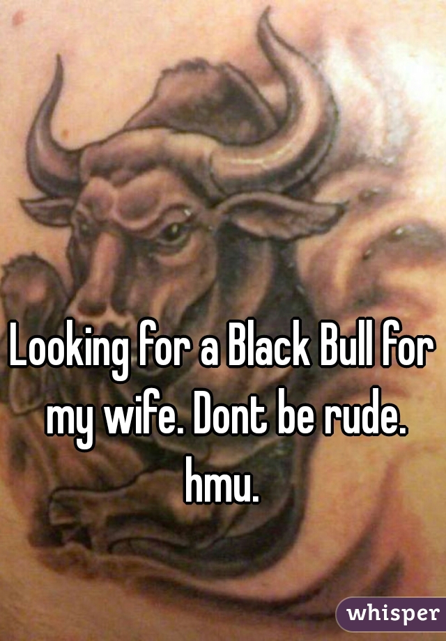 Looking for a Black Bull for my wife. Dont be rude. hmu. 
