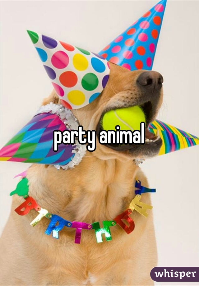 party animal