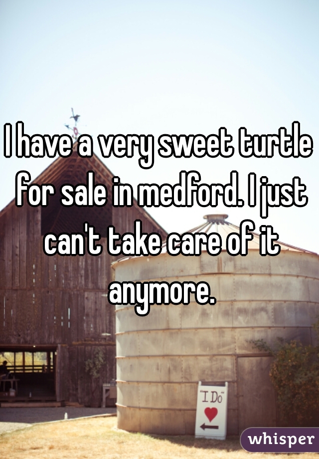 I have a very sweet turtle for sale in medford. I just can't take care of it anymore.
