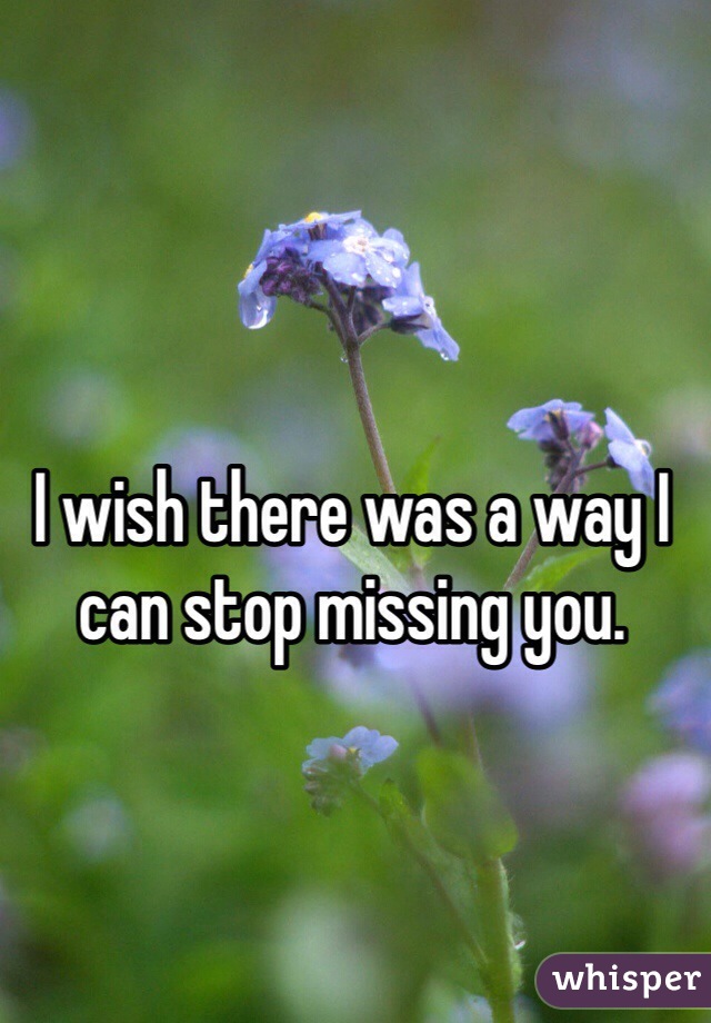 I wish there was a way I can stop missing you. 