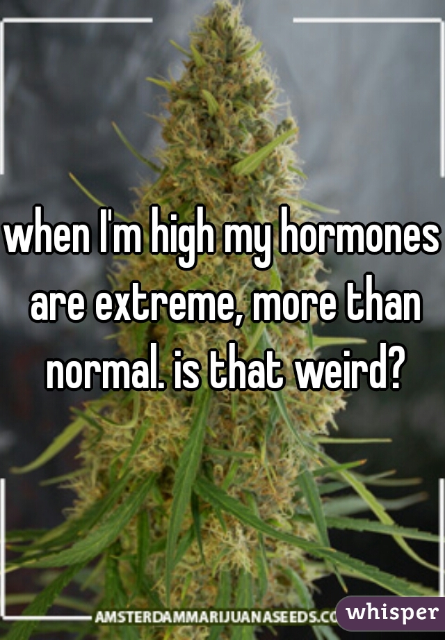 when I'm high my hormones are extreme, more than normal. is that weird?