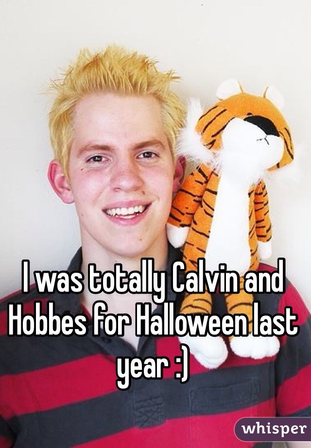 I was totally Calvin and Hobbes for Halloween last year :)