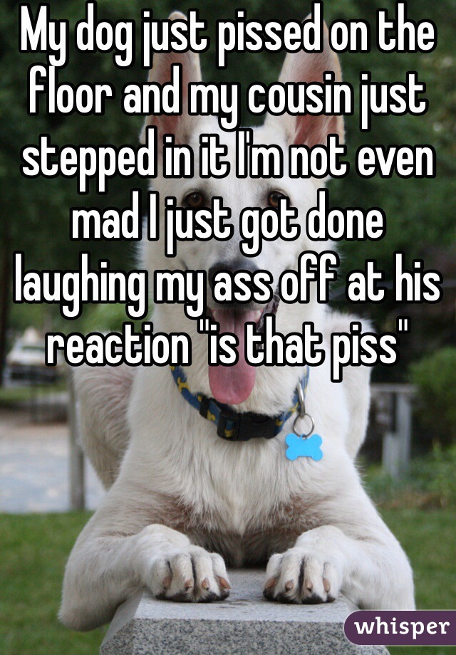 My dog just pissed on the floor and my cousin just stepped in it I'm not even mad I just got done laughing my ass off at his reaction "is that piss"