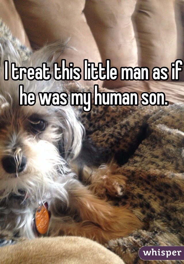I treat this little man as if he was my human son. 