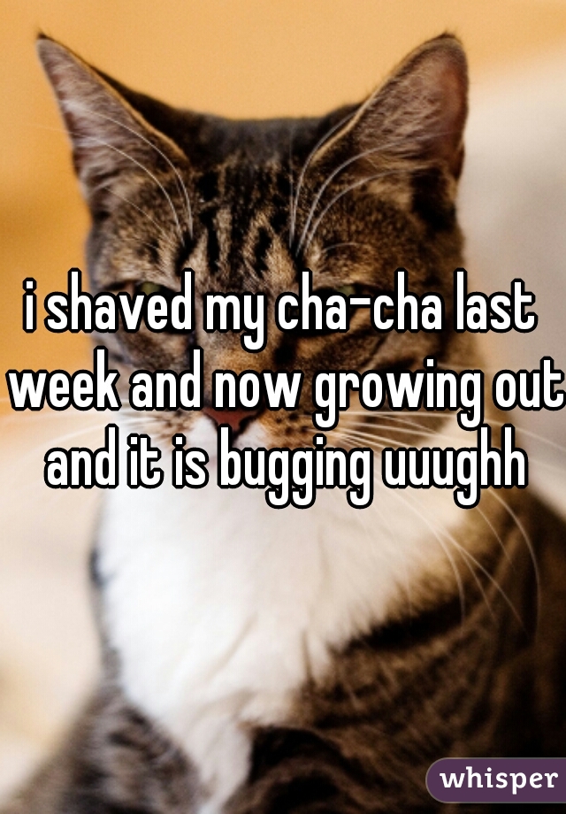 i shaved my cha-cha last week and now growing out and it is bugging uuughh