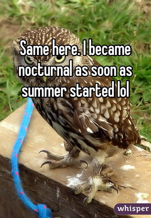 Same here. I became nocturnal as soon as summer started lol 