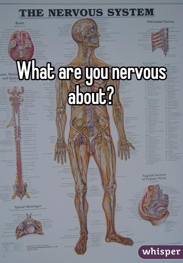 What are you nervous about? 