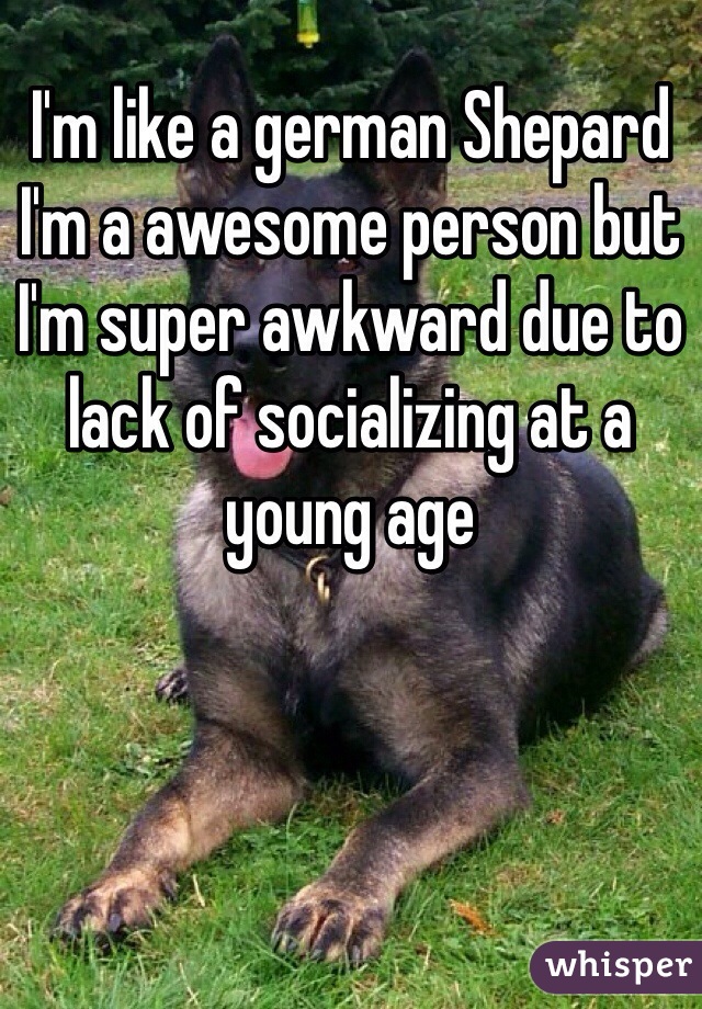 I'm like a german Shepard I'm a awesome person but I'm super awkward due to lack of socializing at a young age 