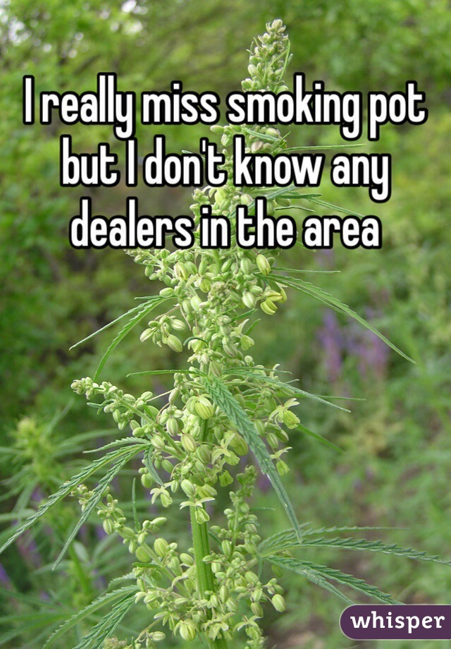 I really miss smoking pot but I don't know any dealers in the area 