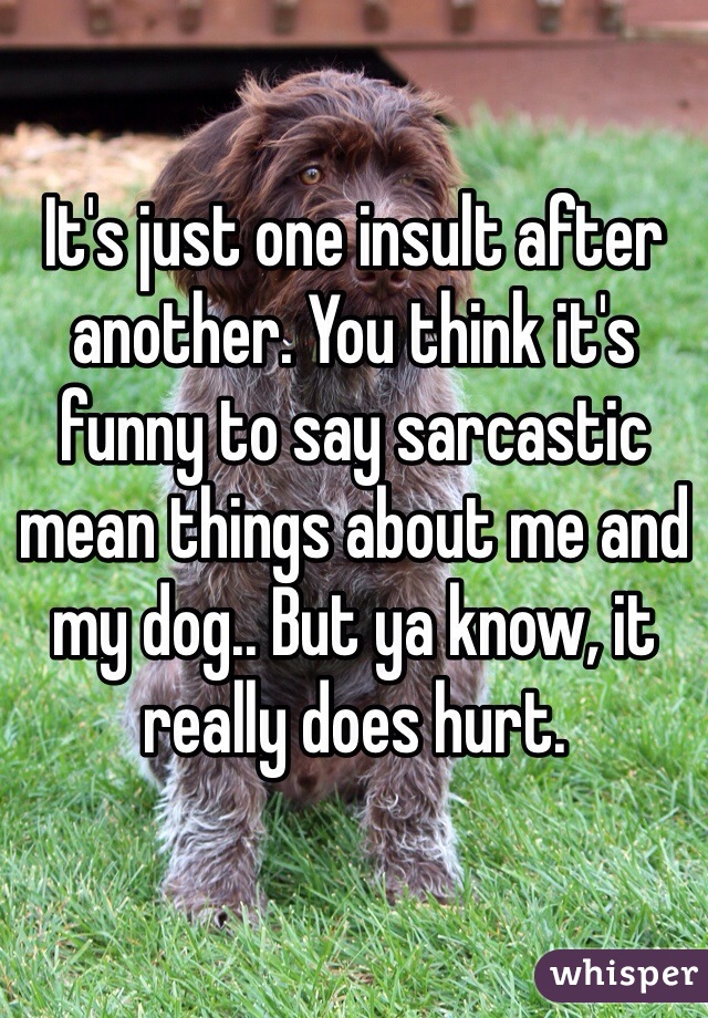 It's just one insult after another. You think it's funny to say sarcastic mean things about me and my dog.. But ya know, it really does hurt.