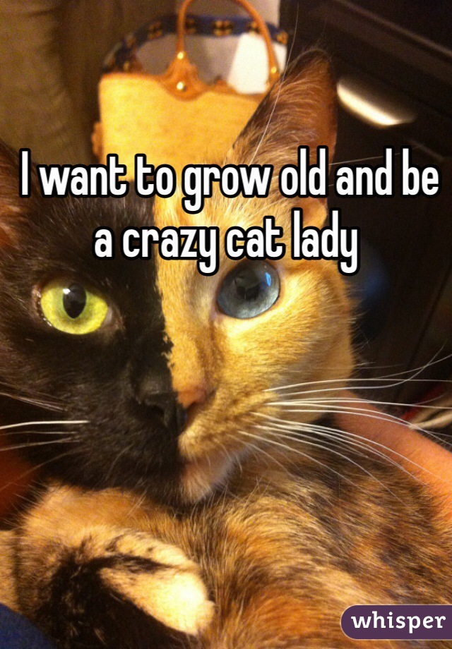  I want to grow old and be a crazy cat lady