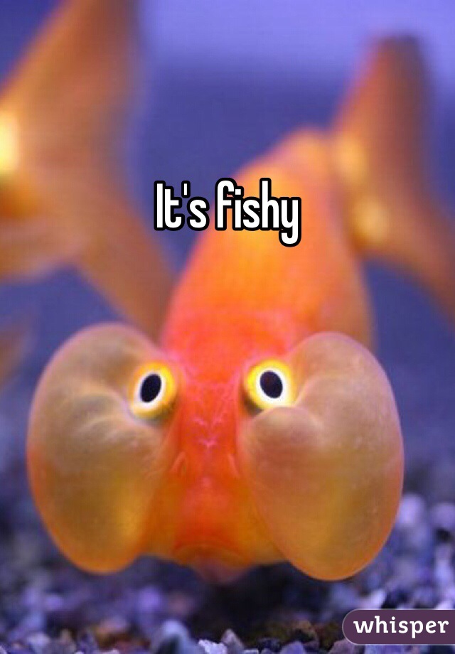 It's fishy