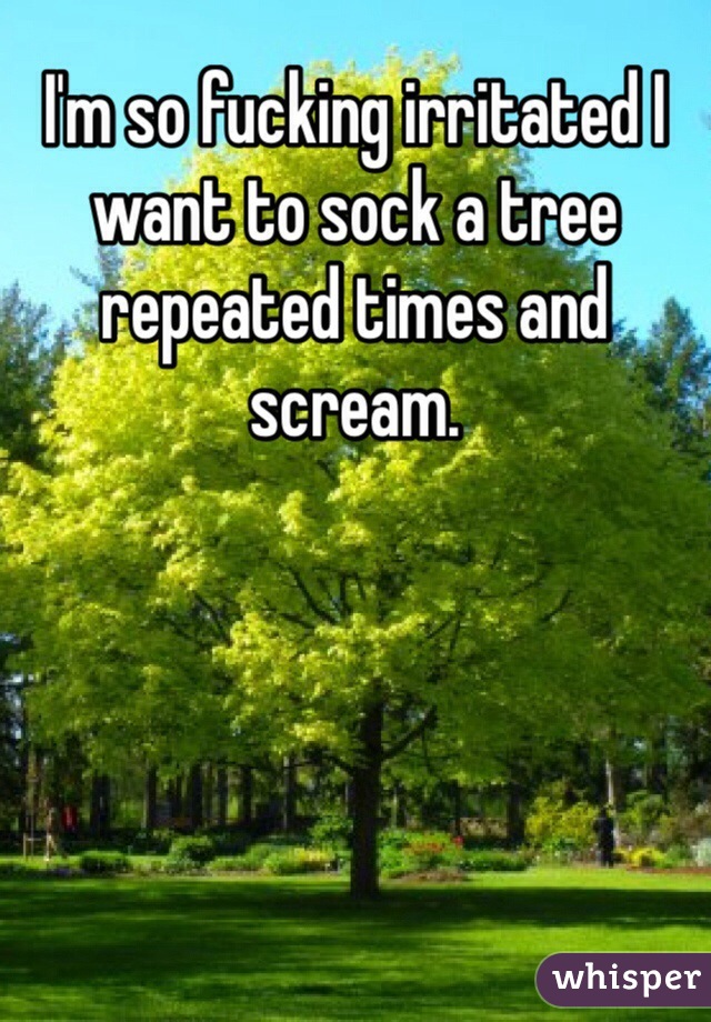 I'm so fucking irritated I want to sock a tree repeated times and scream. 