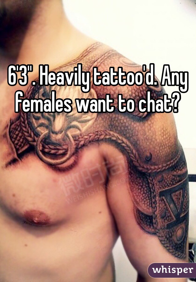 6'3". Heavily tattoo'd. Any females want to chat? 