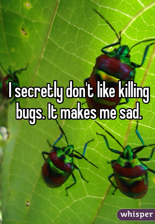 I secretly don't like killing bugs. It makes me sad. 
