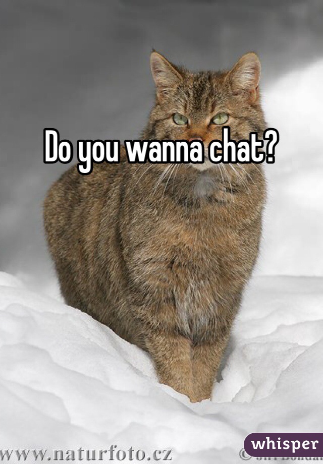 Do you wanna chat?